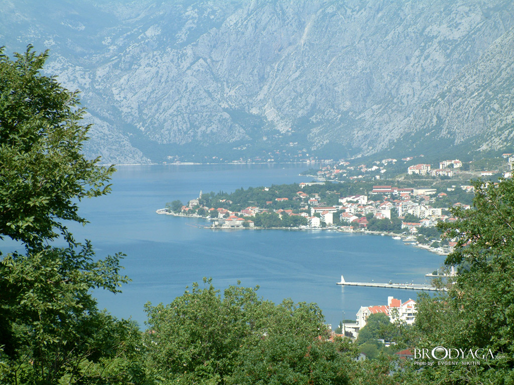 Kotor